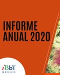Informe 2020